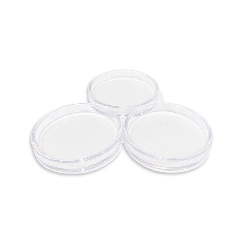 <Doorzichtige vleugel schotels , set van 3 stuks>