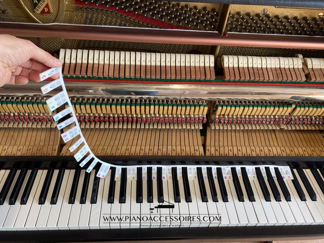 Piano notenstrip Notenstrip in twee delen van siliconen, 4 cm lang, ideaal om noten te leren op de piano