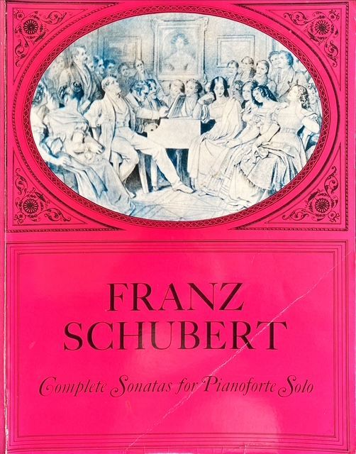 Solo-pianowerken van Schubert: een reis door sereniteit, drama en romantische melodieën in zijn sonates.