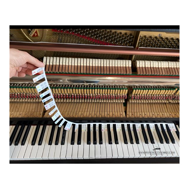 Notenstrip Notenstrip met overzicht van noten op de notenbalk voor beginnende muzikanten.