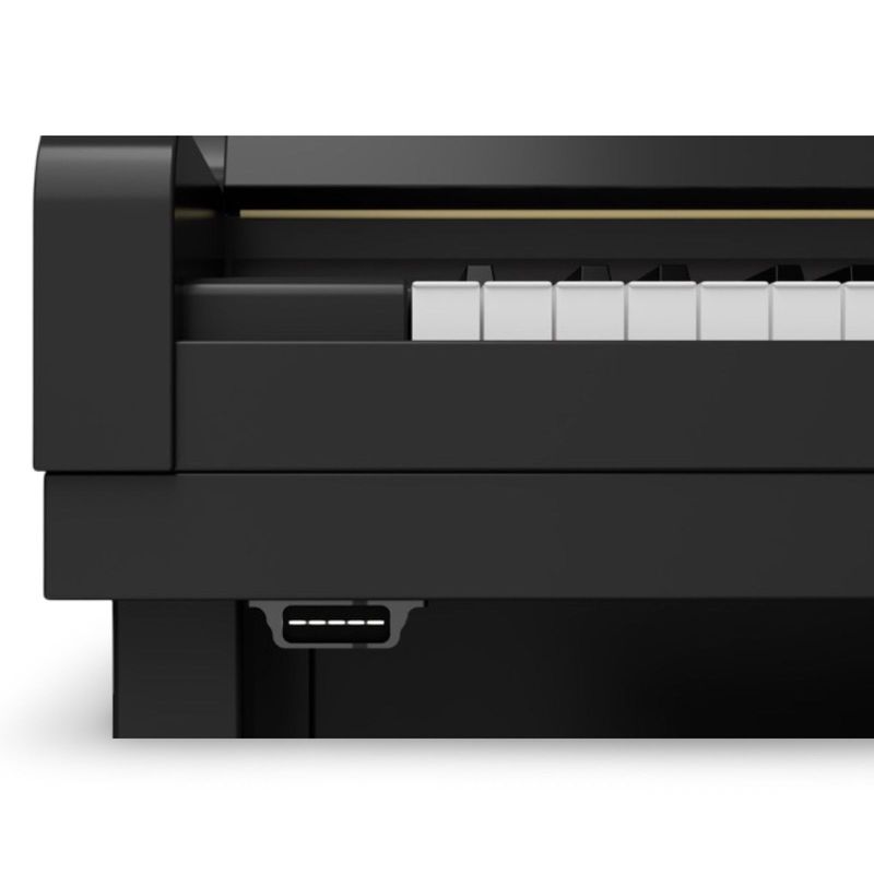 Piano Guard Systeem Piano Guard System geïnstalleerd in een vleugel tot 220 cm