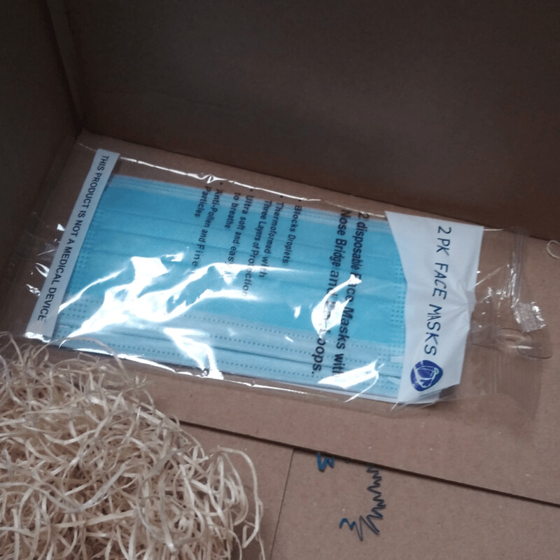 Face Mask (Disposable 2pk)