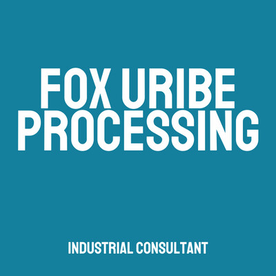 Fox Uribe Processing Consulting
