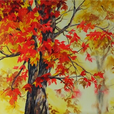MIREILLE BELZILE