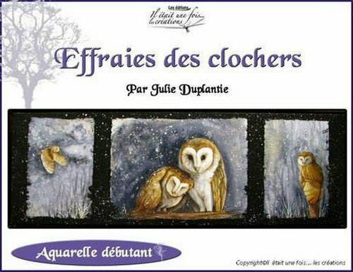 Effraies des clochers/Julie Duplantie