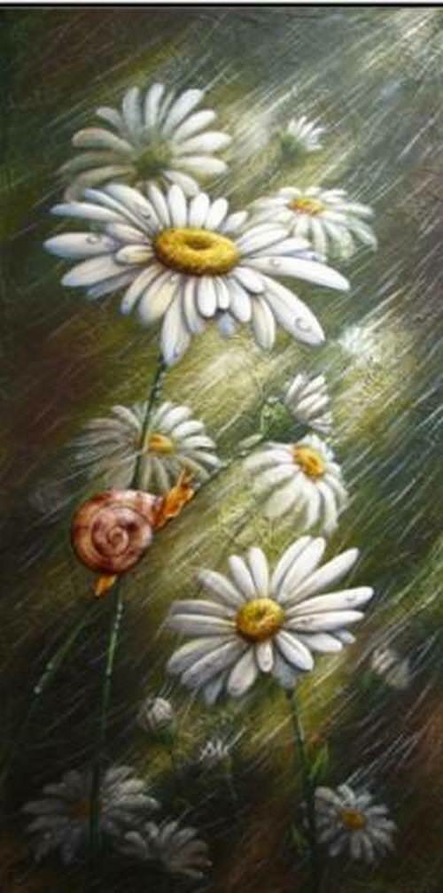 Marguerites parapluies/Julie Duplantie
