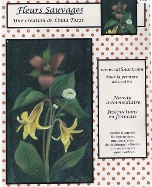 Fleurs sauvages/Linda Tozzi