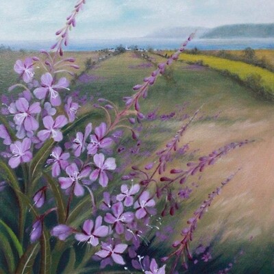 JULIE DONALDSON