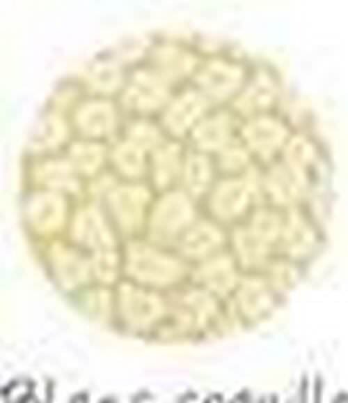 Fantasy Prisme coquille d&#39;oeuf 20