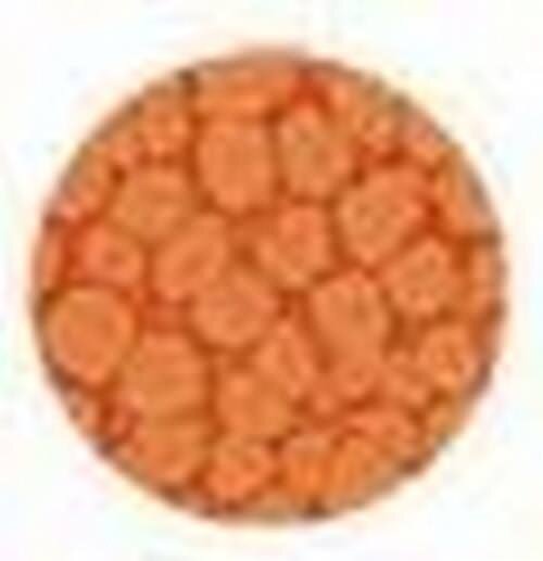 Fantasy Prisme Mandarine 16