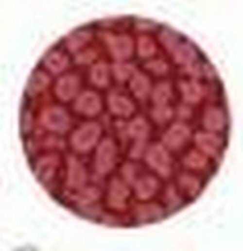 Fantasy prisme rose antique 22