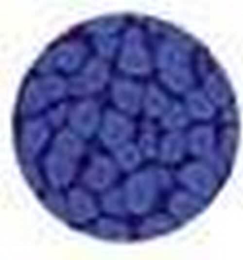 Fantasy prisme Violette 26