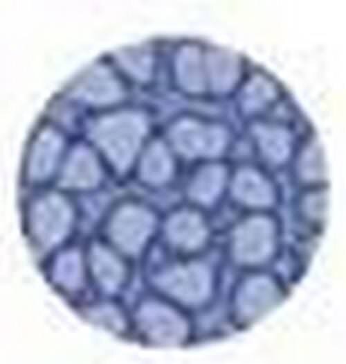 Fantasy prisme cendre bleu 37