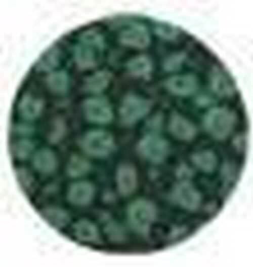 Fantasy prisme vert feruille 29
