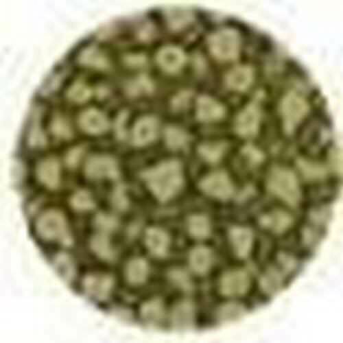 Fantasy prisme Greengold 35