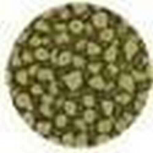Fantasy prisme Greengold 35