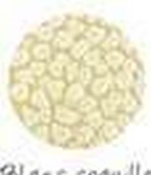 Fantasy Prisme coquille d&#39;oeuf 20