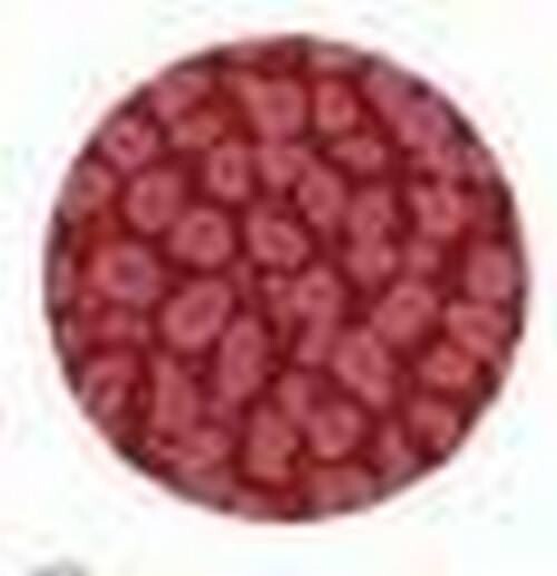 Fantasy prisme rose antique 22