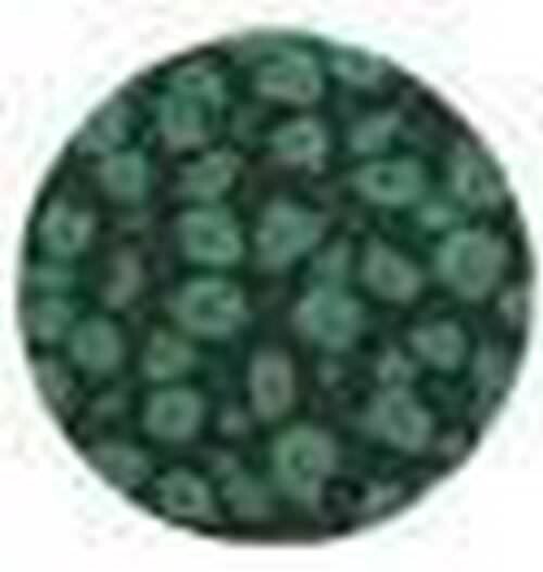 Fantasy prisme vert feruille 29