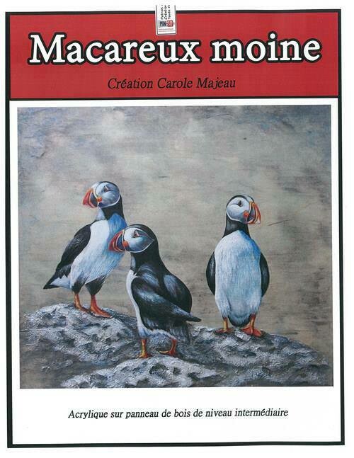 Macareux moine/C.Majeau