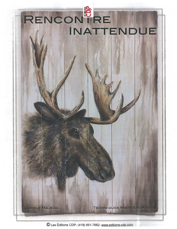 Rencontre inattendue/C.Majeau