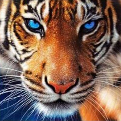 ANIMAUX