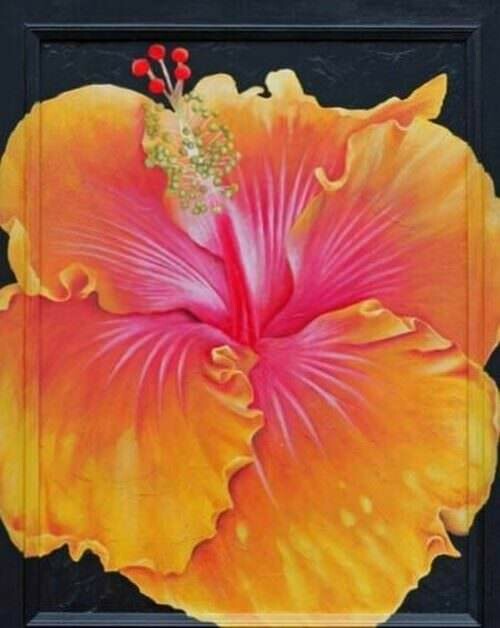 Hibiscus de collection/Nicole Laurence
