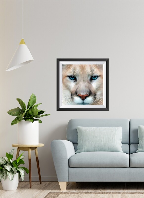 Diamond painting/ Douceur AC-DP514