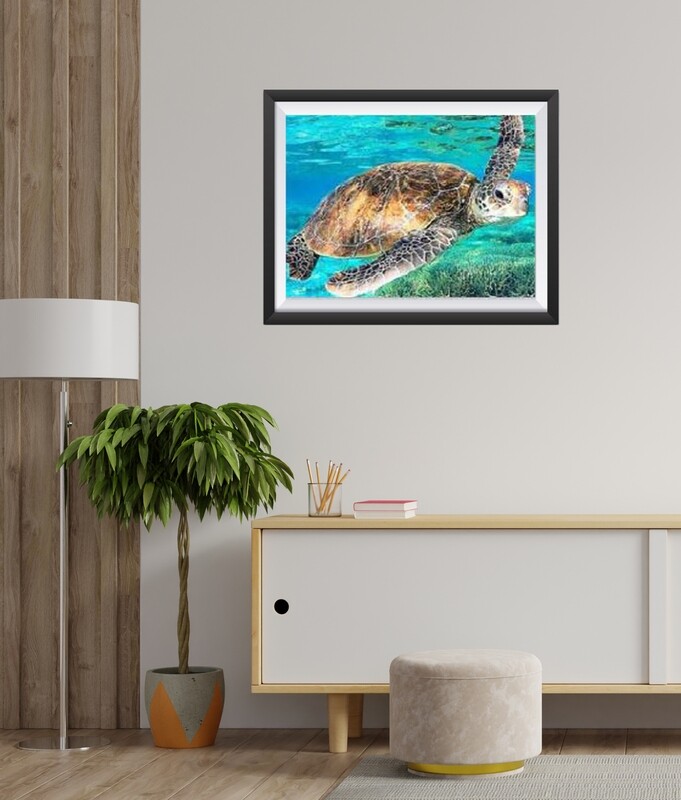 LA TORTUE/ AC-PN21