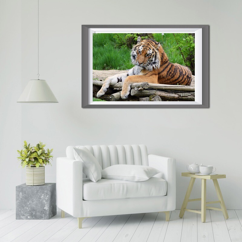 DIAMOND PAINTING/ LE TIGRE/DPQ-003