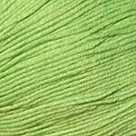 BAMBOO POP LIME