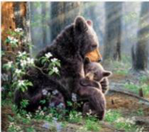 MAMAN OURS / AC-PN25