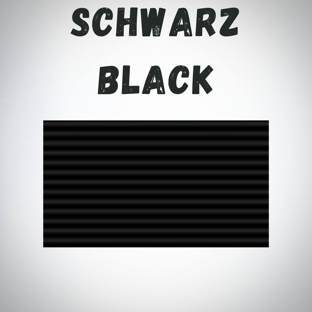 Custom License Plate Holder - Ninebot Segway Max G3, Color selection: Black
