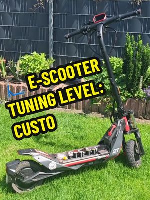 Turn Signal Protector for Segway Ninebot