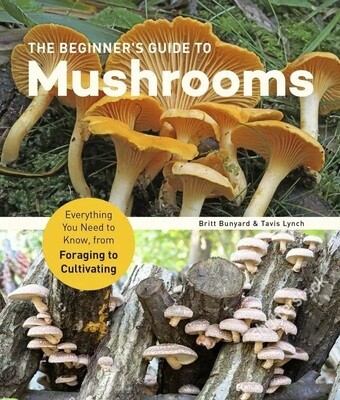 Beginner's Guide to Mushrooms: From Foraging to Cultivating