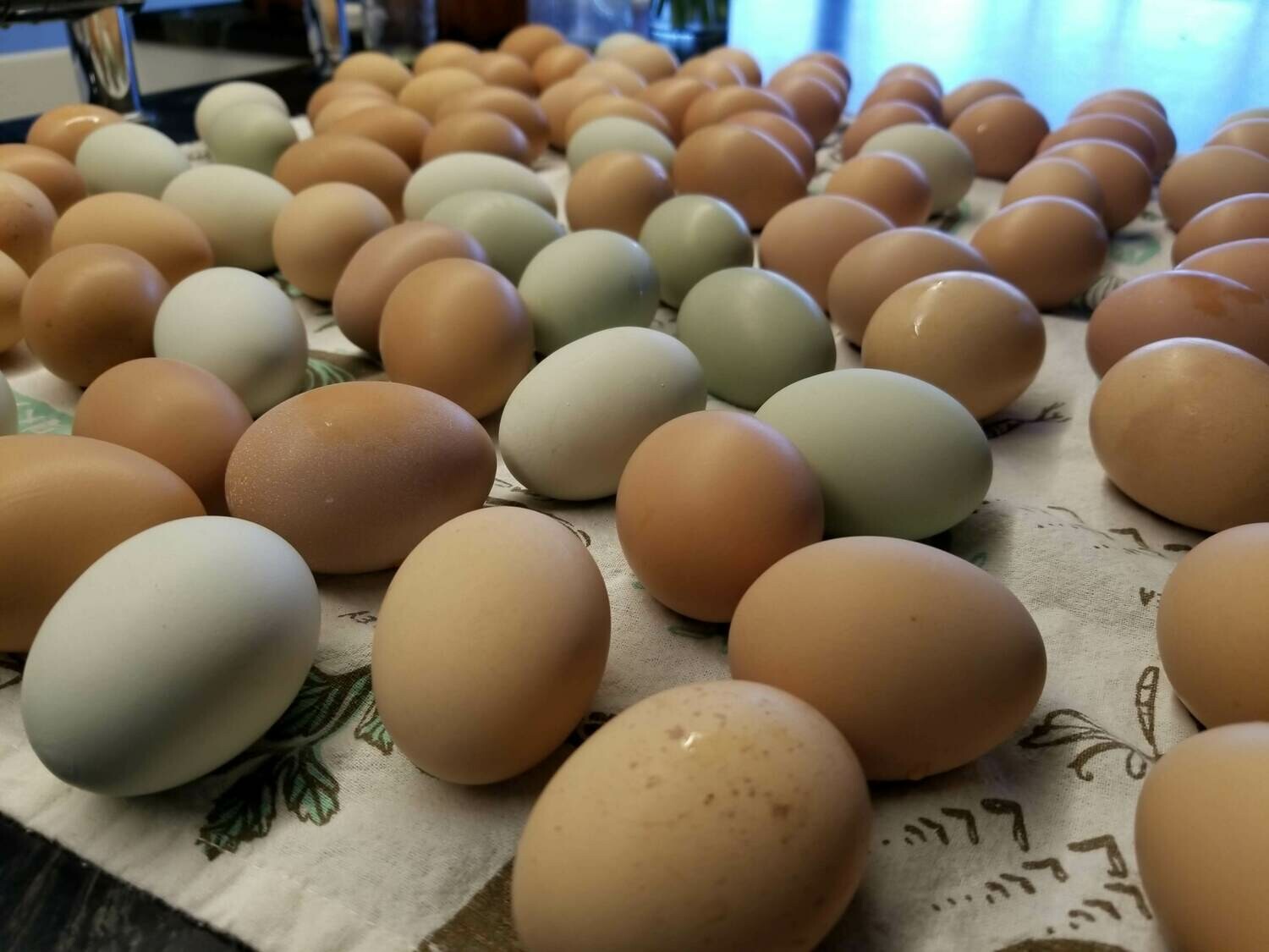Farm Fresh Eggs 1 Dozen Farm Fresh Eggs 1 Dozen