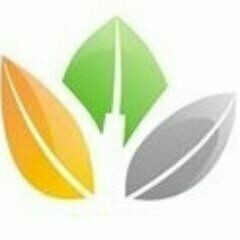 LEARN ENGLISH ONLINE .US
