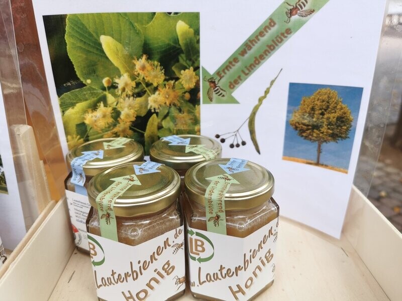 Honig, Ernte, während der Lindenblüte, Honig, Ernte, während der Lindenblüte,