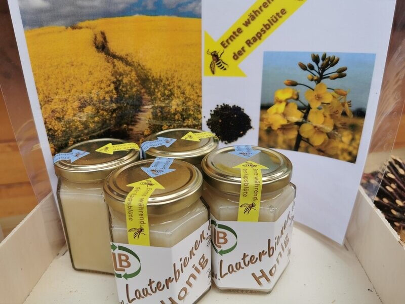 Honig, Ernte, während der Rapsblüte Honig, Ernte, während der Rapsblüte