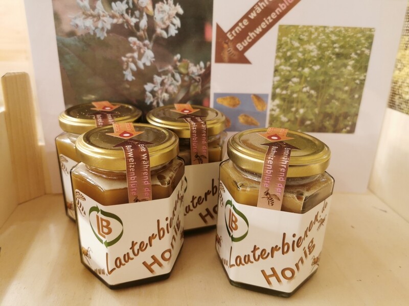 Honig, Ernte, während der Buchweizenblüte Honig, Ernte, während der Buchweizenblüte