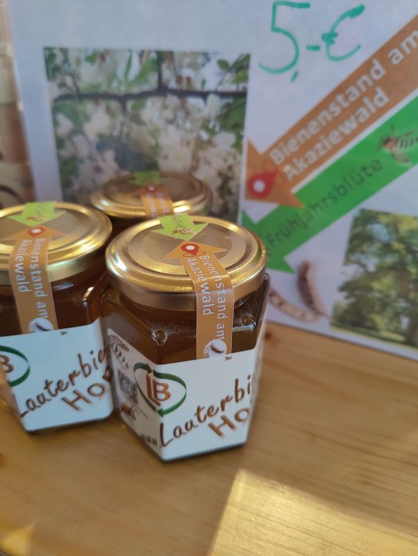 Frühjahrsblüte, Bienenstand am Akziewald Frühjahrsblüte, Bienenstand am Akziewald