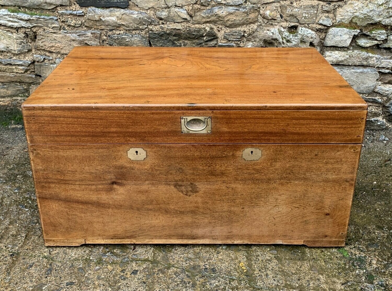 Camphorwood Trunk