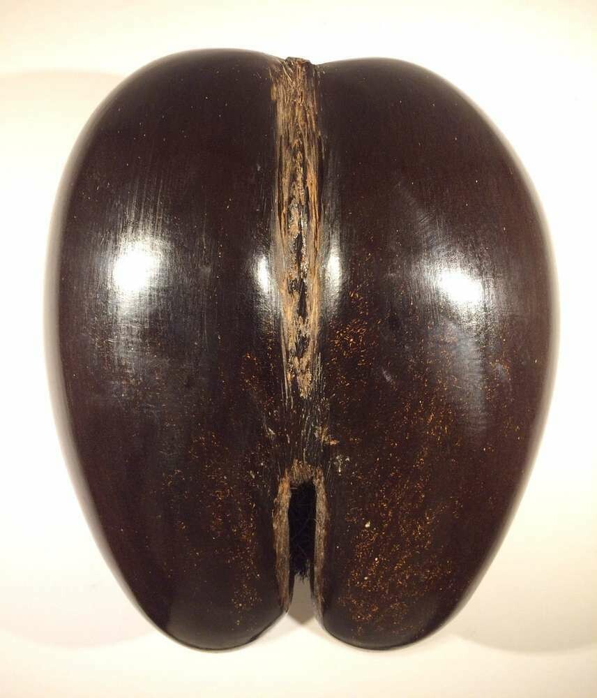 Coco De Mer Basket