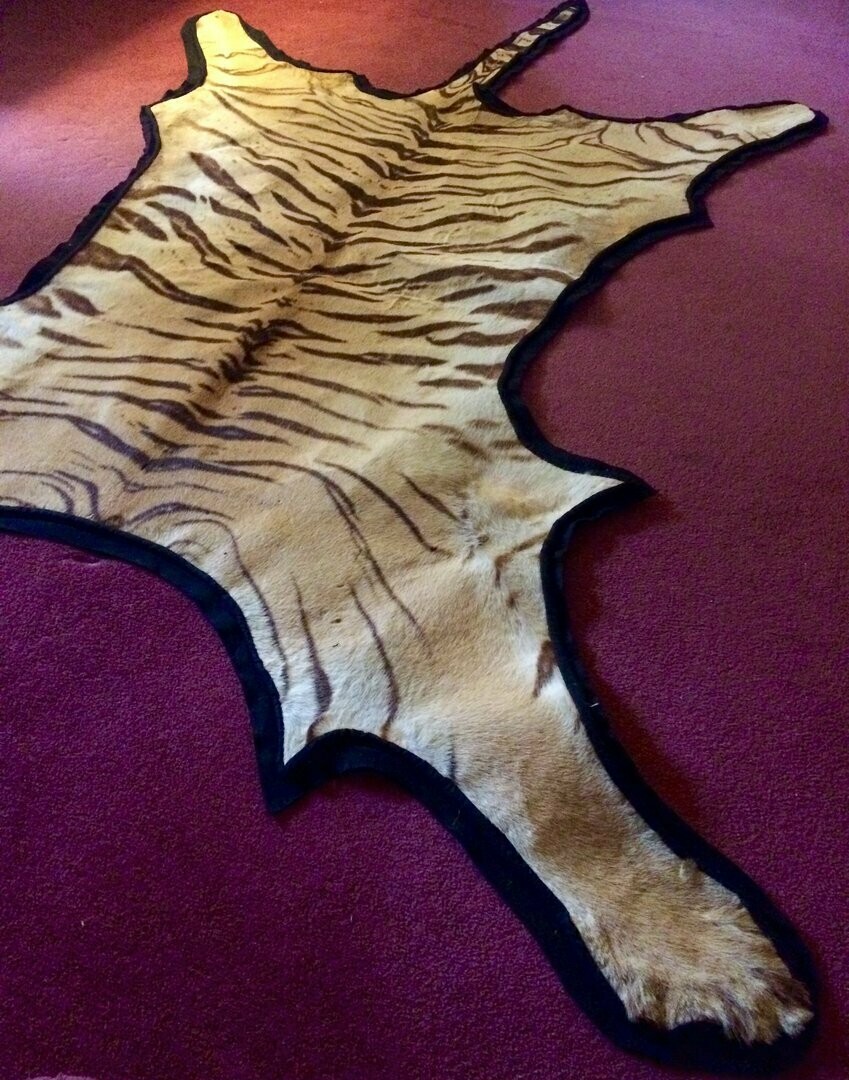 Rowland Ward Taxidermy Tiger Skin Rug
