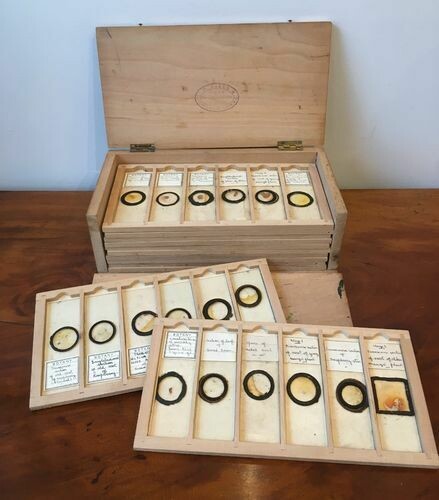 Antique Box of 66 Microscope Slides C.Baker