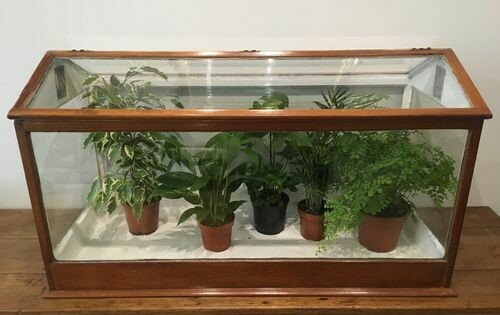 Large Antique Wood Framed Glass Terrarium
