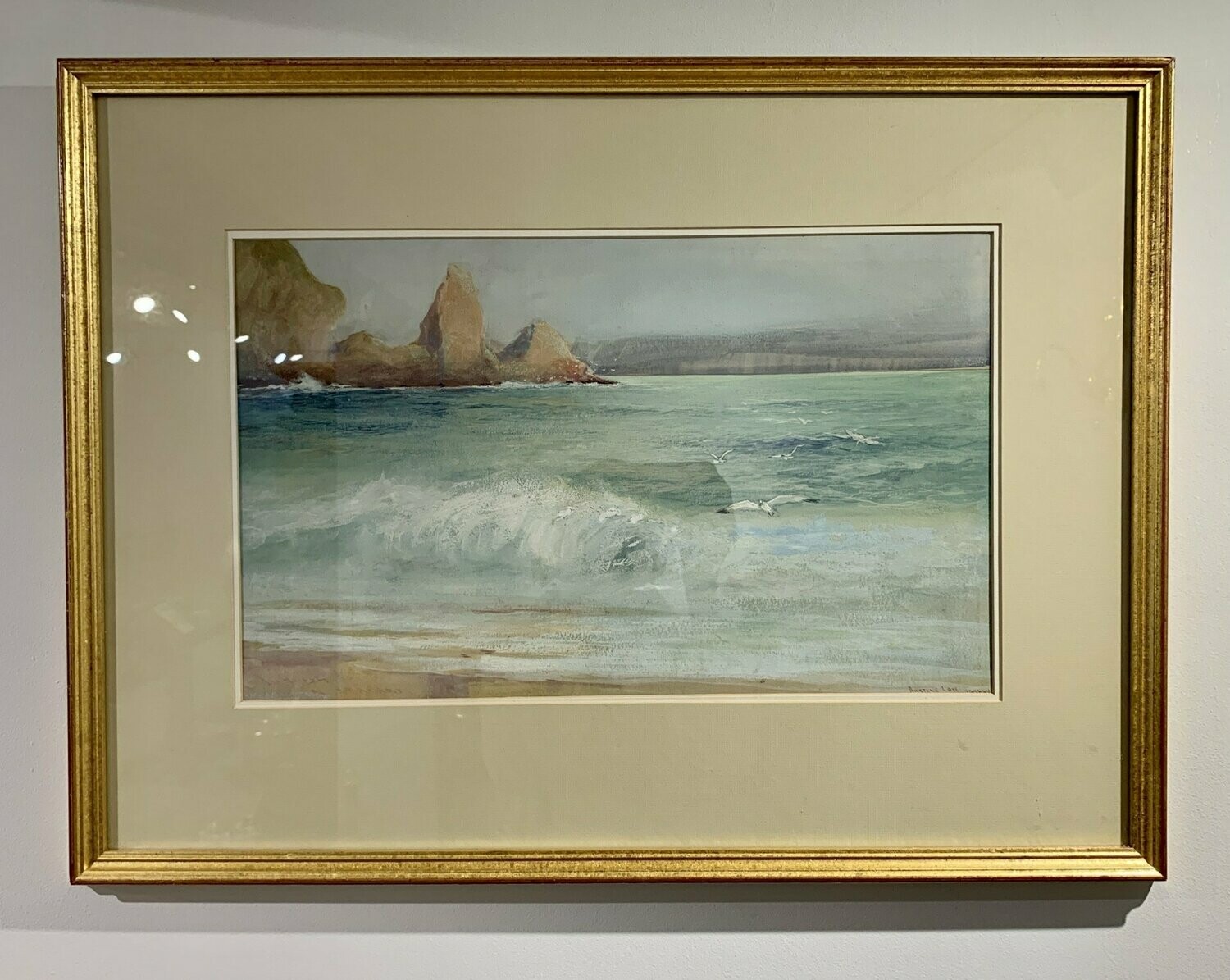 Ansteys Cove Torbay by Hal Hurst