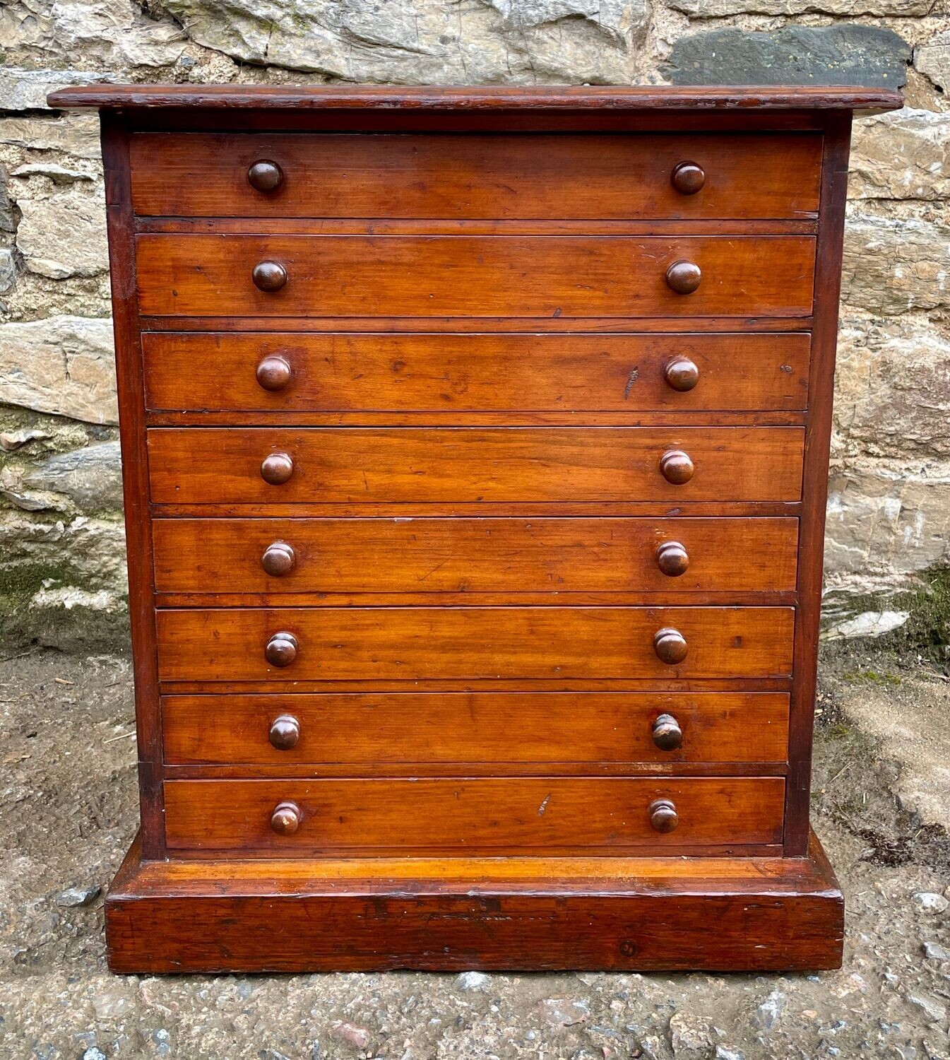 Antique Specimen Collectors Cabinet