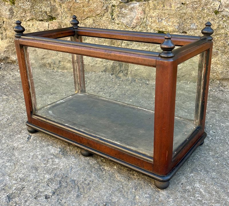 Antique Oak Framed Glass Terrarium