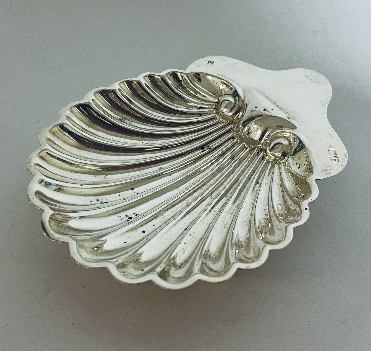 Antique Silver Shell Shaped Butter Dish